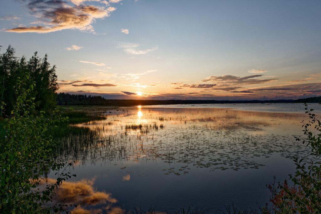 Nature 