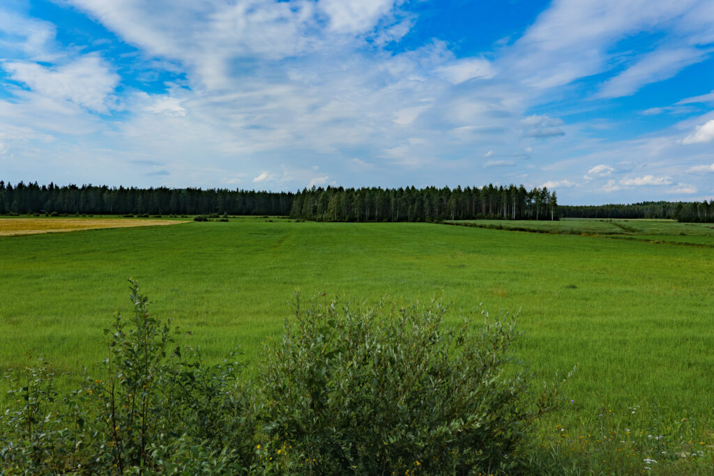Natural view