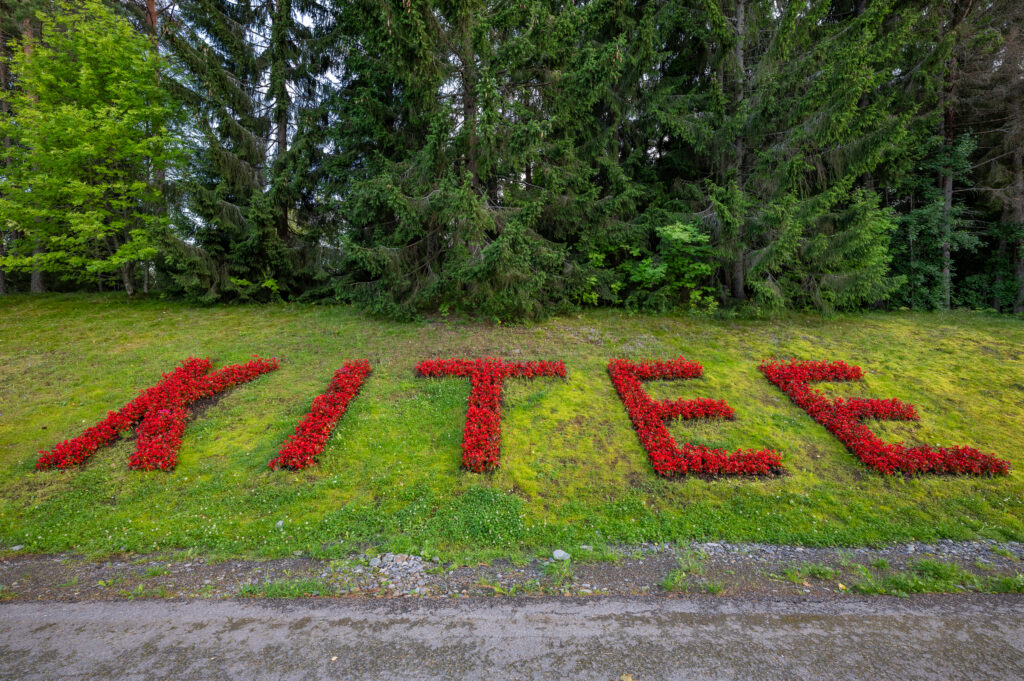 Kitee