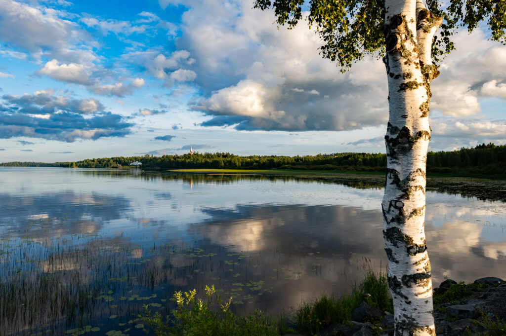 Natural View