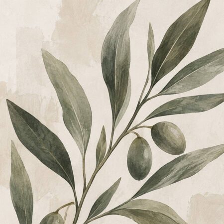 Olive Branch – Oliivinoksa